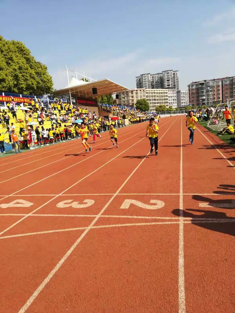 乐动体育官网-仕途沉浮免费阅读全文